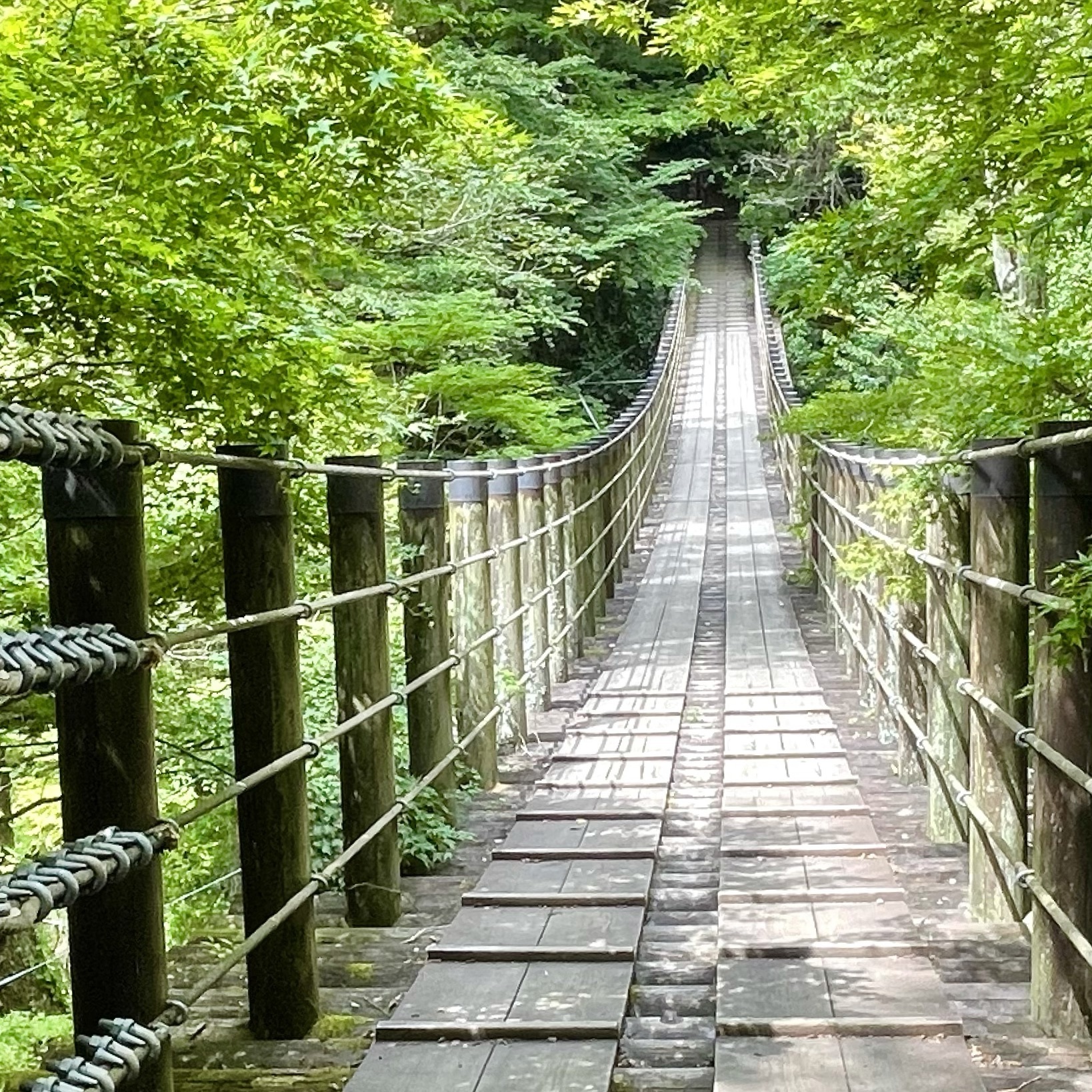 花貫渓谷 渓谷にかかる吊り橋からの眺めが絶景 茨城屈指の紅葉の名所 Recotrip レコトリップ