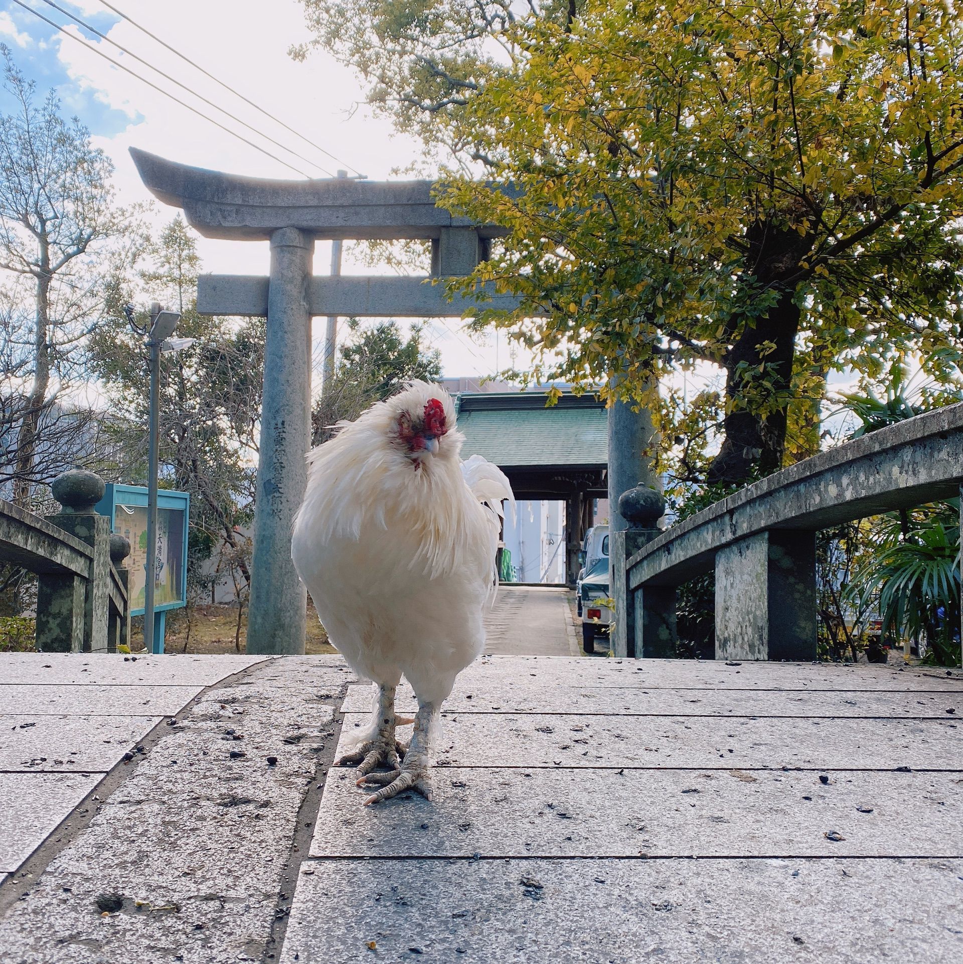 松森天満宮の口コミ 写真 アクセス Recotrip レコトリップ