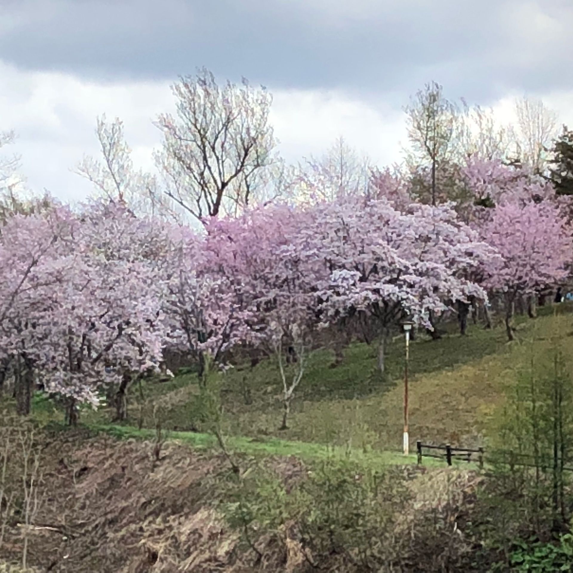 東明公園の口コミ 写真 アクセス Recotrip レコトリップ