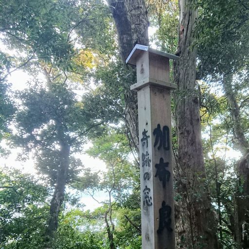 伊射波神社の口コミ 写真 アクセス Recotrip レコトリップ