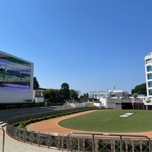 22年 中山競馬場の口コミ 写真 アクセス Recotrip レコトリップ