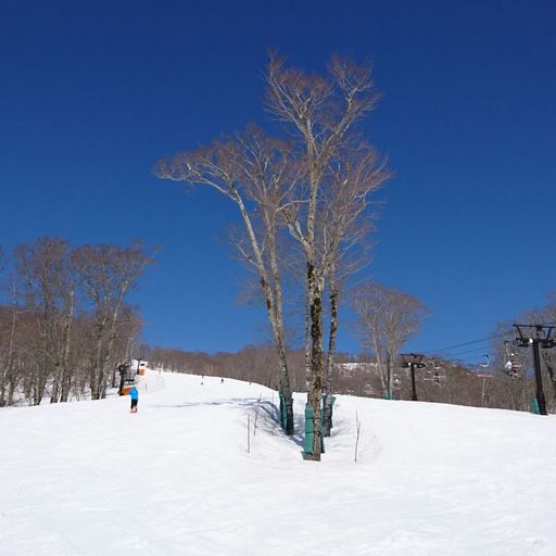 苗場スキー場 絶景パノラマ 日本最長のゴンドラで空中散歩が楽しめる 1年中楽しいスキー場 Recotrip レコトリップ