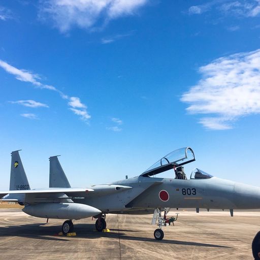 航空自衛隊 入間基地の口コミ 写真 アクセス Recotrip レコトリップ