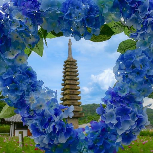 22年 般若寺 写真映えスポット多数 別名コスモス寺の愛称で親しまれる古刹 Recotrip レコトリップ