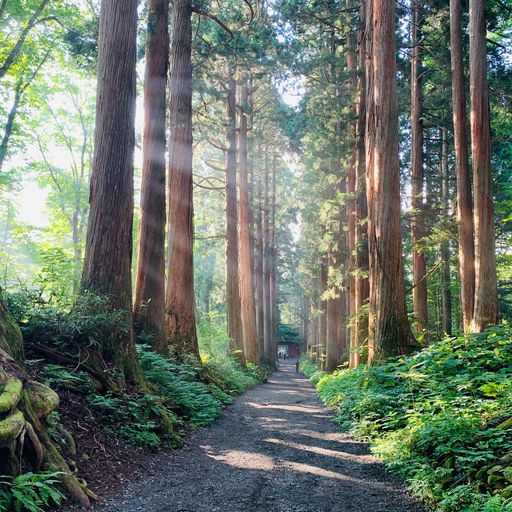 戸隠神社奥社 まさに神の聖域 戸隠五社巡りで絶対に訪れたい絶景パワースポット Recotrip レコトリップ