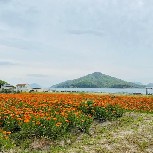 フラワーパーク浦島の口コミ 写真 アクセス Recotrip レコトリップ