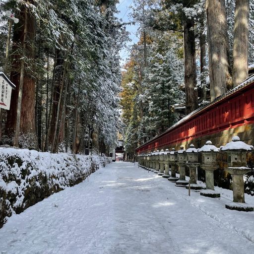 22年 日光東照宮 世界文化遺産 徳川家康公を御祭神とする 歴史ある神社 Recotrip レコトリップ