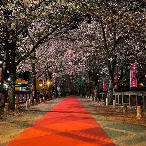 北宮阿蘇神社の口コミ 写真 アクセス Recotrip レコトリップ