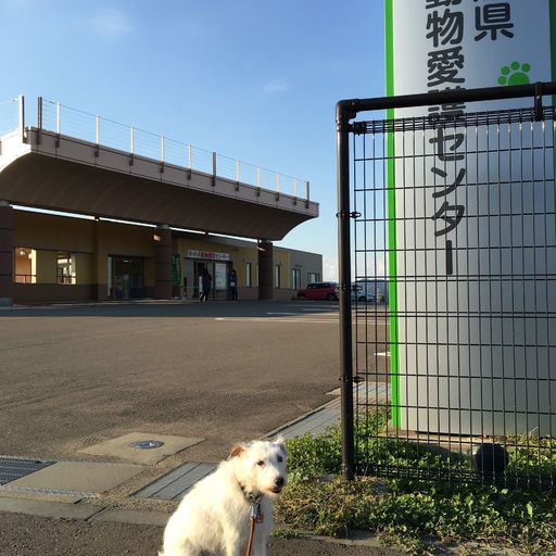 22年 新潟県動物愛護センターの口コミ 写真 アクセス Recotrip レコトリップ