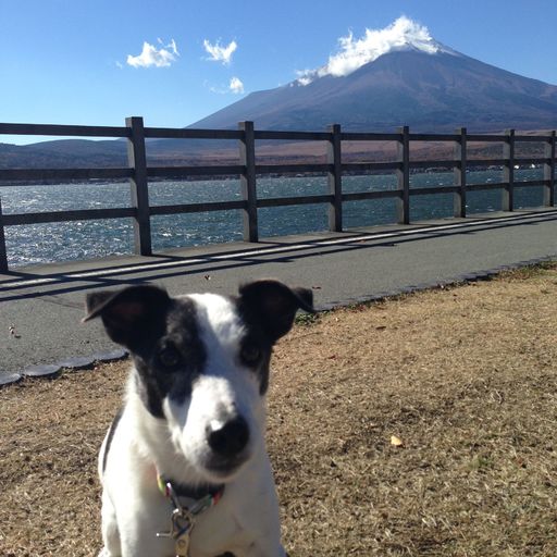 山中湖 湖水亭 たかむらの口コミ 写真 アクセス Recotrip レコトリップ