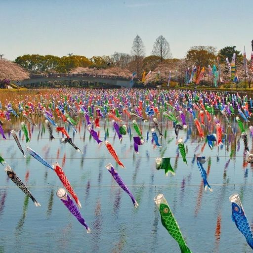 鶴生田川の口コミ 写真 アクセス Recotrip レコトリップ