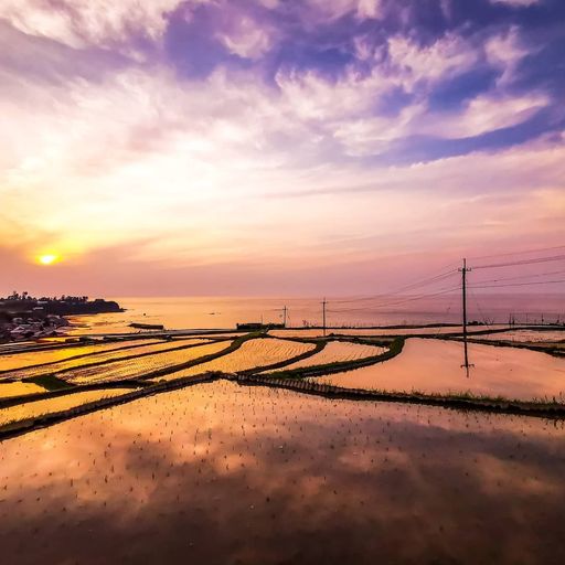 袖志の棚田 水面に映る美しい風景 集落と棚田と海のバランスが心地いい景観スポット Recotrip レコトリップ