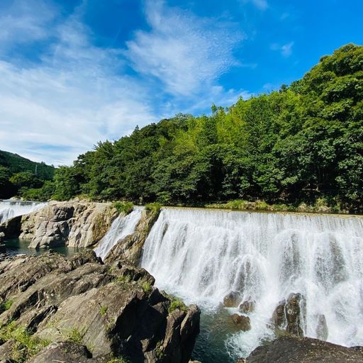 22年 花の木公園のプラン 口コミ 予約 Recotrip レコトリップ