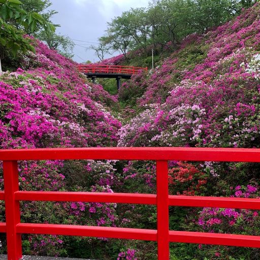 淡輪遊園の口コミ 写真 アクセス Recotrip レコトリップ