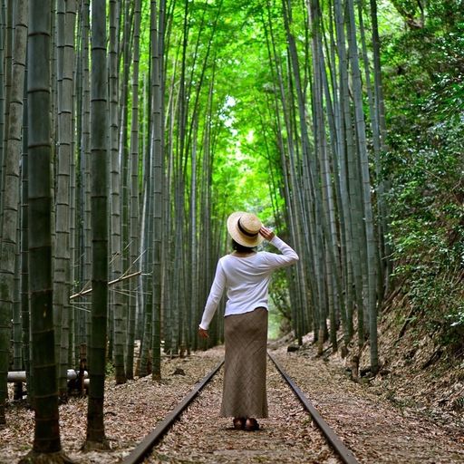 旧国鉄倉吉線 泰久寺駅跡の口コミ 写真 アクセス Recotrip レコトリップ