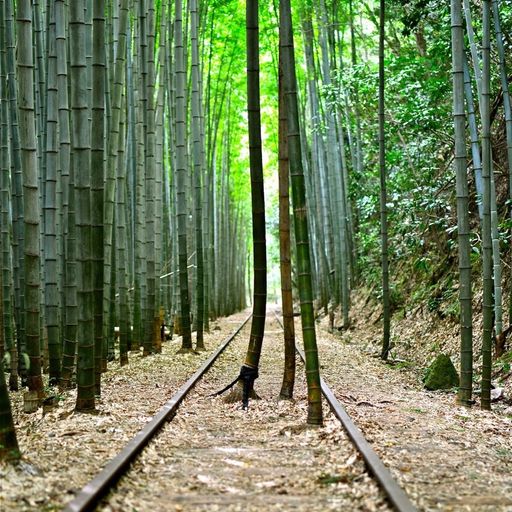 旧国鉄倉吉線 泰久寺駅跡の口コミ 写真 アクセス Recotrip レコトリップ