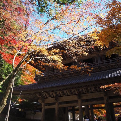 永源寺 かわいいお地蔵様がお出迎え 散歩やライトアップが楽しめる紅葉が美しいお寺 Recotrip レコトリップ