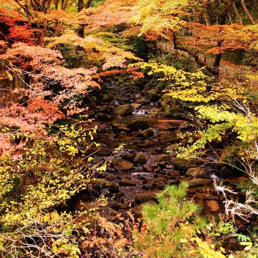 岩屋堂公園 秋の紅葉が絶景 バーベキューに川遊びも楽しい 自然豊かな公園 Recotrip レコトリップ