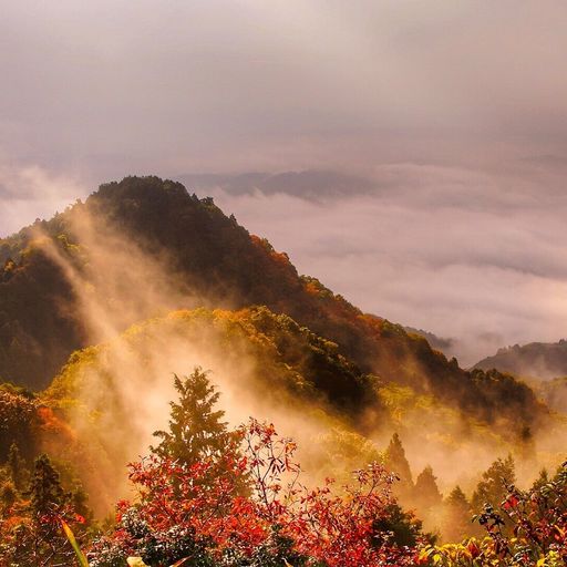 御斎峠 まるで絵画の世界のよう 滋賀と三重にまたがる紅葉と雲海のコントラストが美しい山 Recotrip レコトリップ