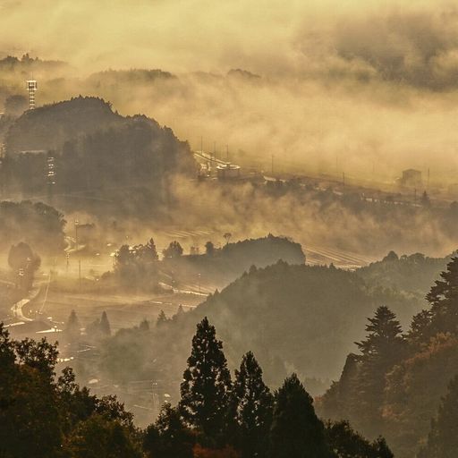 御斎峠 まるで絵画の世界のよう 滋賀と三重にまたがる紅葉と雲海のコントラストが美しい山 Recotrip レコトリップ