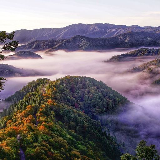 おにゅう峠 絶景が楽しめる秘境スポット 紅葉と雲海のコラボレーションが楽しめる峠 Recotrip レコトリップ