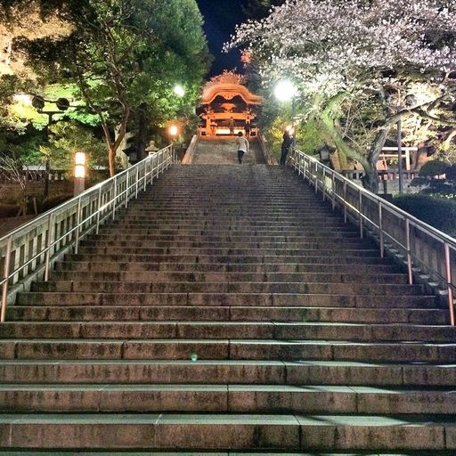 鳥ちょっ の口コミ 写真 アクセス Recotrip レコトリップ