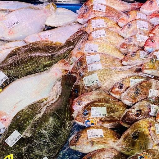 箕島漁協直営 新鮮市場 浜のうたせの口コミ・写真・アクセス｜RECOTRIP 