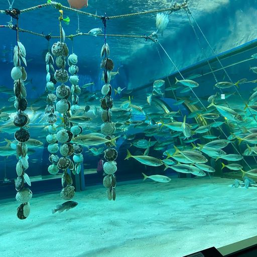 青森県営浅虫水族館の口コミ 写真 アクセス Recotrip レコトリップ