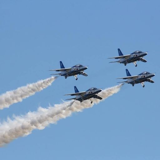 航空自衛隊 入間基地の口コミ 写真 アクセス Recotrip レコトリップ