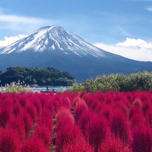 ✨金の龍神と富士山と金の海✨