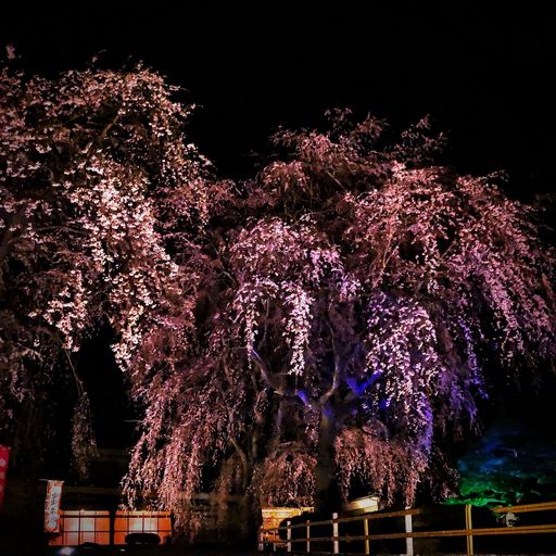 身照寺 宮沢賢治墓所 の口コミ 写真 アクセス Recotrip レコトリップ