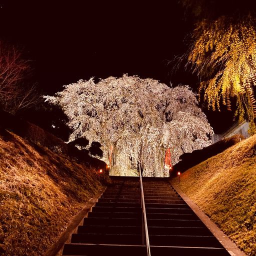 身照寺 宮沢賢治墓所 の口コミ 写真 アクセス Recotrip レコトリップ