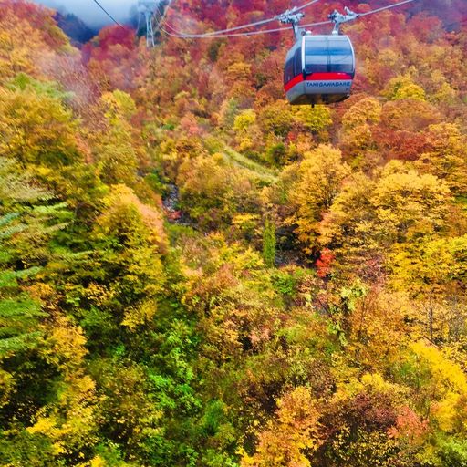 谷川岳ロープウェイの口コミ 写真 アクセス Recotrip レコトリップ