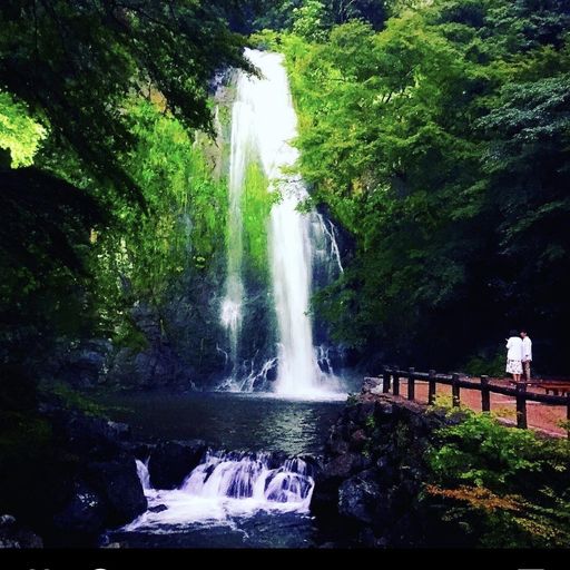 21年 大阪府 自然 景勝地の観光スポットランキング 1ページ目