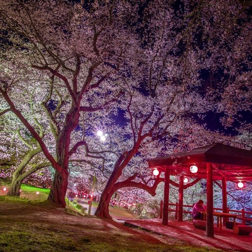 22年 烏帽子山公園の口コミ 写真 アクセス Recotrip レコトリップ