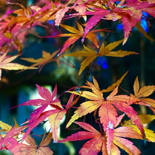 香取神宮前 お食事 お土産処 亀甲堂の口コミ 写真 アクセス Recotrip レコトリップ