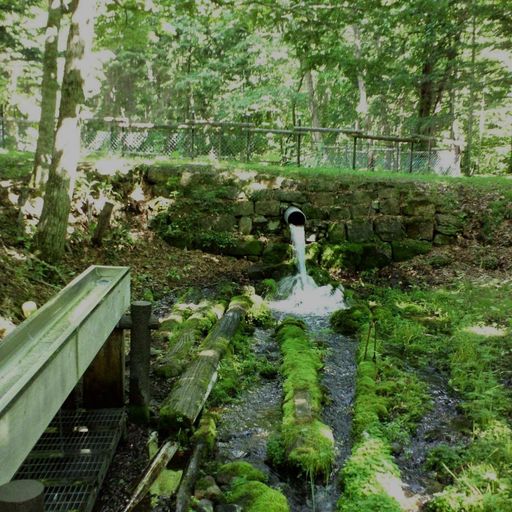 来運神社の口コミ 写真 アクセス Recotrip レコトリップ