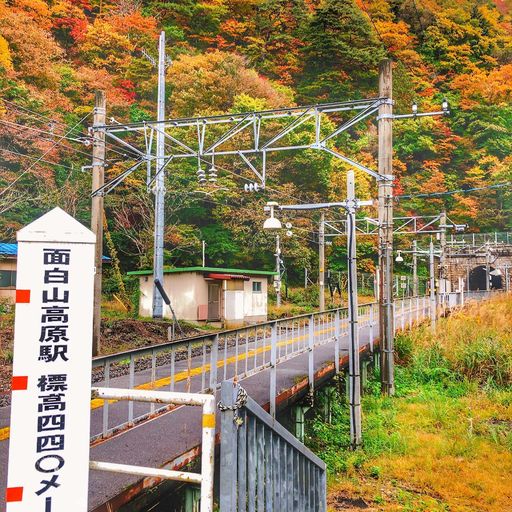 面白山高原駅】口コミ・アクセスと周辺観光ガイド