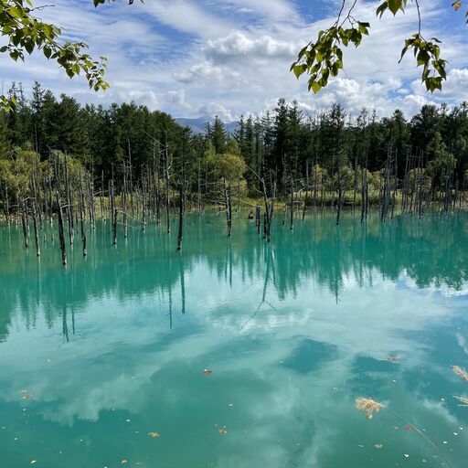 9月の日本で人気の湖・池・沼・水源ランキングTOP30