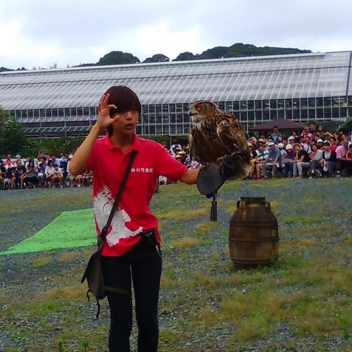 掛川花鳥園 鳥たちが目の前に迫る 色とりどりの花と可愛らしい鳥たちに出会えるテーマパーク Recotrip レコトリップ