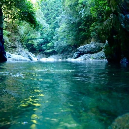 22年 清滝 川遊び場所 透き通る清流を満喫 川での気楽なレジャーを楽しめる自然スポット Recotrip レコトリップ