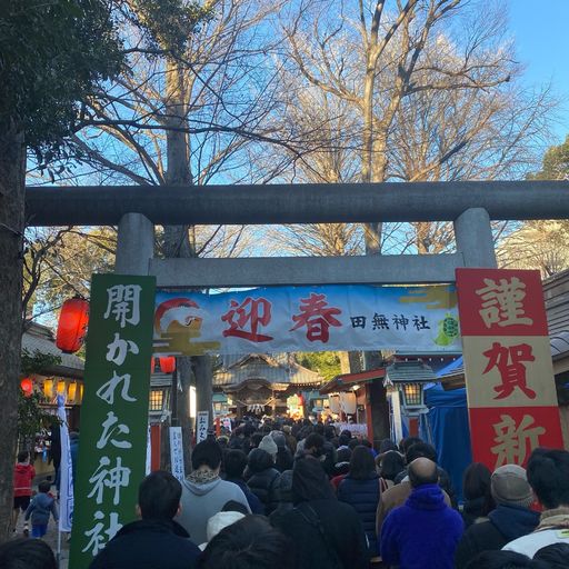 22年 田無神社 おみくじいっぱい 五龍神が多くの願いを叶えてくれるカラフルなパワースポット Recotrip レコトリップ