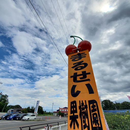 まるせい果樹園 農家カフェ 森のガーデンの口コミ 写真 アクセス Recotrip レコトリップ