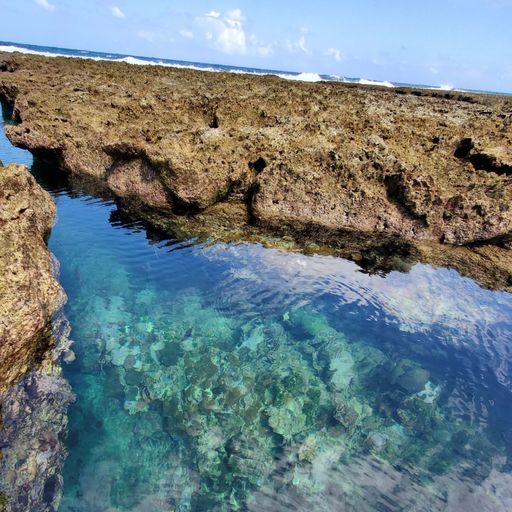 熱帯魚の家 久米島の自然が生んだ 天然の水族館 時間を忘れて眺めてしまうタイドプール Recotrip レコトリップ