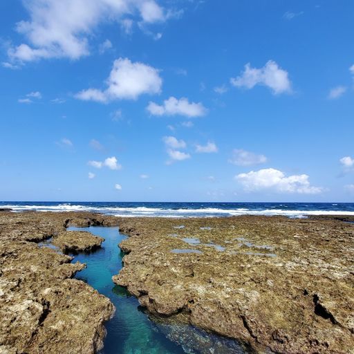 熱帯魚の家 久米島の自然が生んだ 天然の水族館 時間を忘れて眺めてしまうタイドプール Recotrip レコトリップ