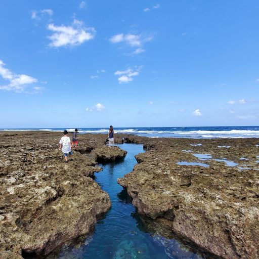 熱帯魚の家 久米島の自然が生んだ 天然の水族館 時間を忘れて眺めてしまうタイドプール Recotrip レコトリップ