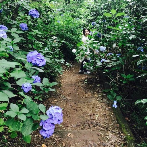 観音寺 広島県 の口コミ 写真 アクセス Recotrip レコトリップ