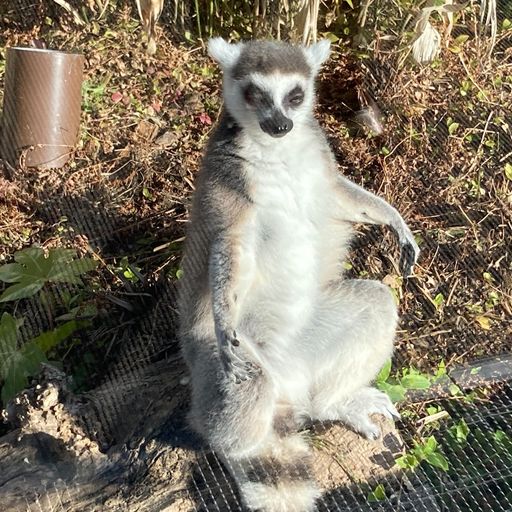 22年 近畿地方の動物園はココ みんなに人気のスポットtop17