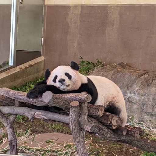 22年春 近畿地方の動物園はココ みんなに人気のスポットtop13