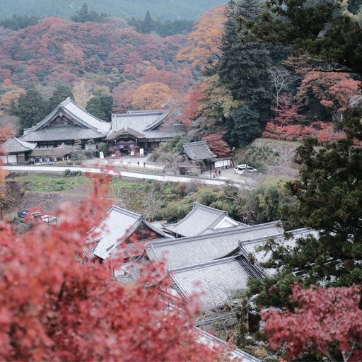 長谷寺 奈良 日本の四季を花で愛でるお寺 奈良の里山に佇む歴史ある絶景寺 Recotrip レコトリップ